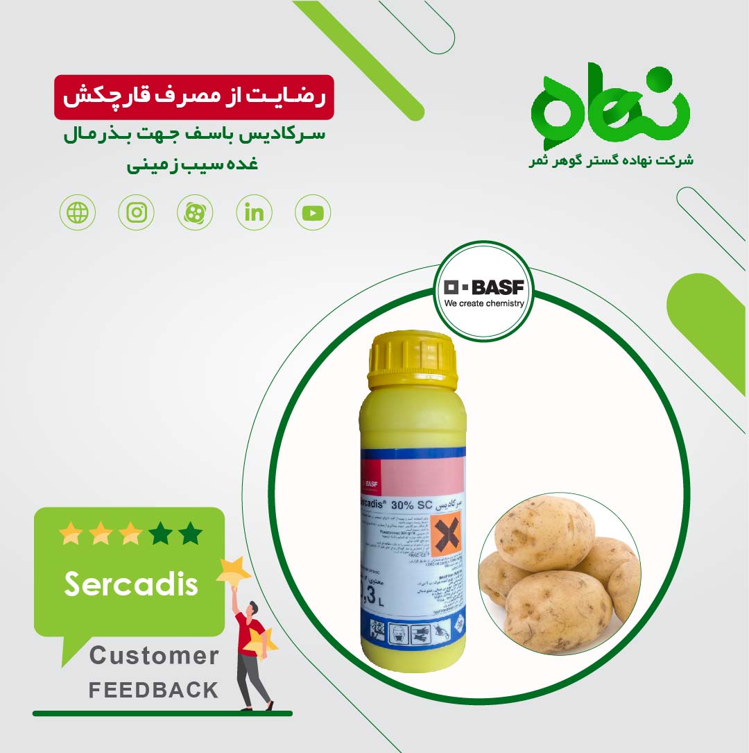 رضایت از مصرف قارچکش سرکادیس باسف جهت بذرمال غده سیب زمینی 